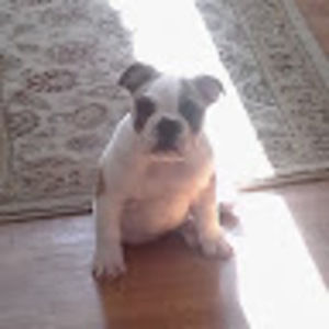 Meet your Posher, Mark